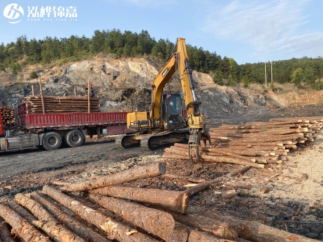 松木樁批發(fā)價格是多少?