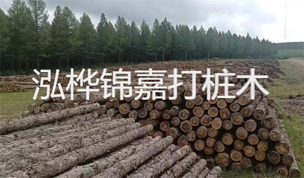 選用打松木樁施工隊 專注打造穩(wěn)固基礎