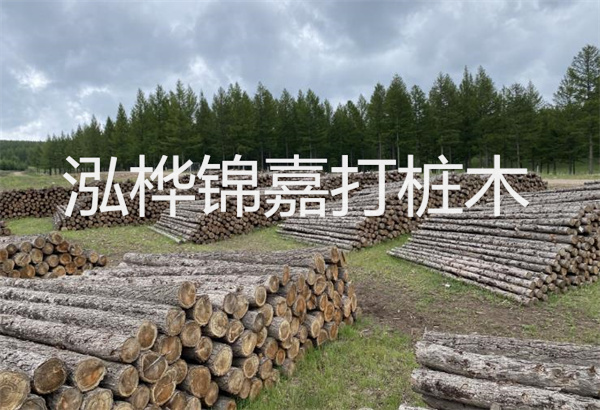 預制松木樁施工工藝:優(yōu)質材料,高效快速,堅固耐用