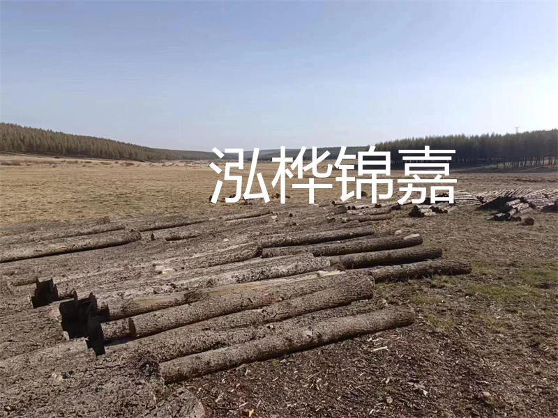 鄂州松木樁哪里好？推薦泓樺錦嘉松木樁業(yè)！